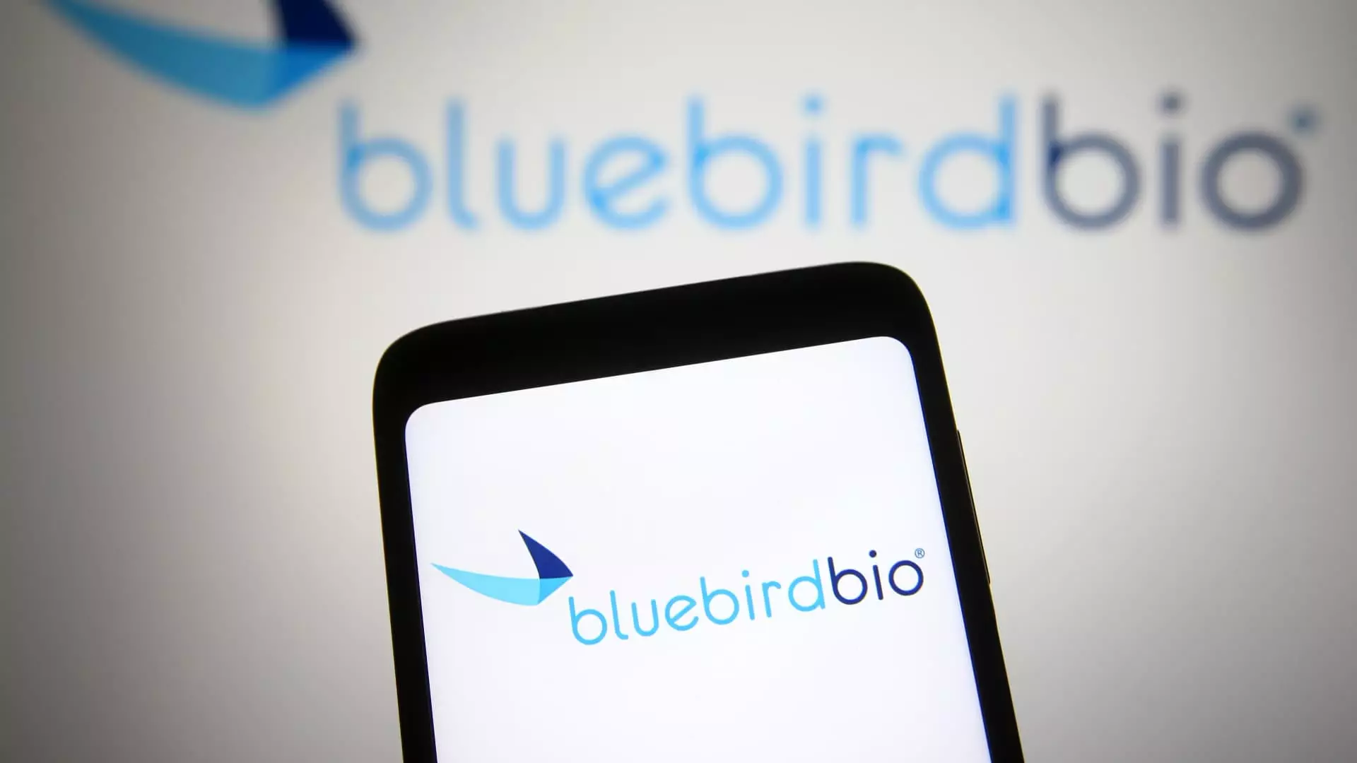 The Downfall of Bluebird Bio: A Cautionary Tale in the Biotech Sector