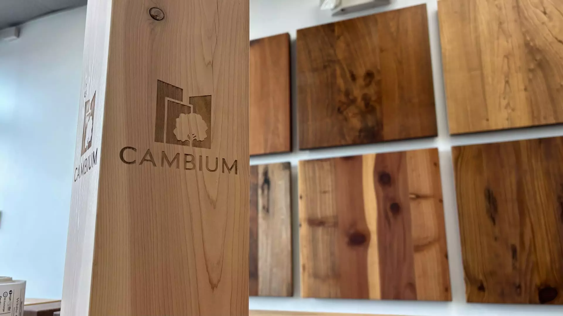 The Revolutionary Path: 7 Ways Cambium is Transforming Waste into Wealth